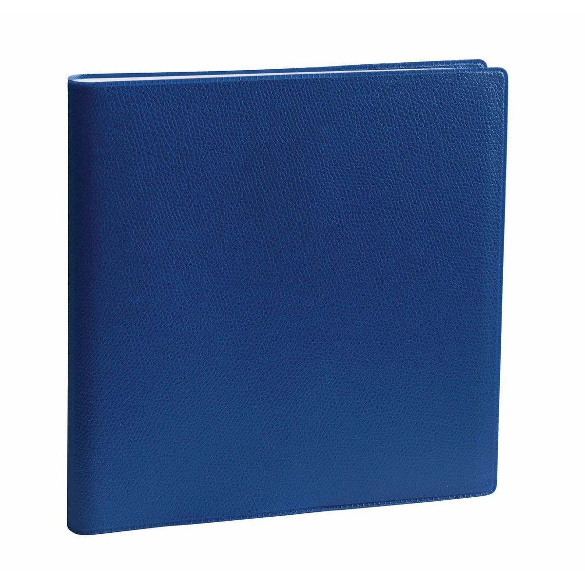 Agenda 2025 QUO VADIS Exécutif Impala - 1 semaine sur 2 pages - 16 x 16 cm - Bleu océan - 3371010481422