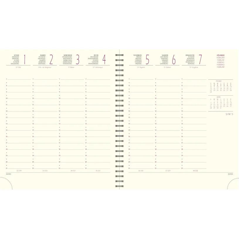 Agenda 2027 EXACOMPTA Eurotime 18S - 15 x 17 cm - 1 semaine sur 2 pages - Orientation verticale - Lily vert d'eau - 3660942091190