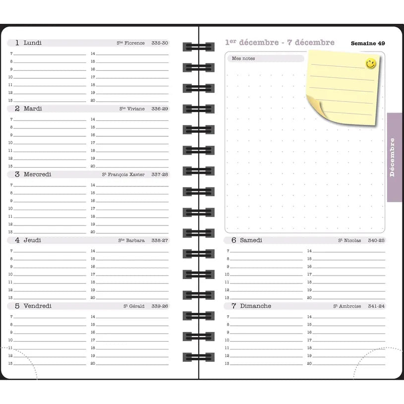 Agenda 2027 EXACOMPTA Lady 16S - 9 x 16 cm - 1 semaine + notes - Orientation horizontale - Alysse vert lagon - 3660942090971