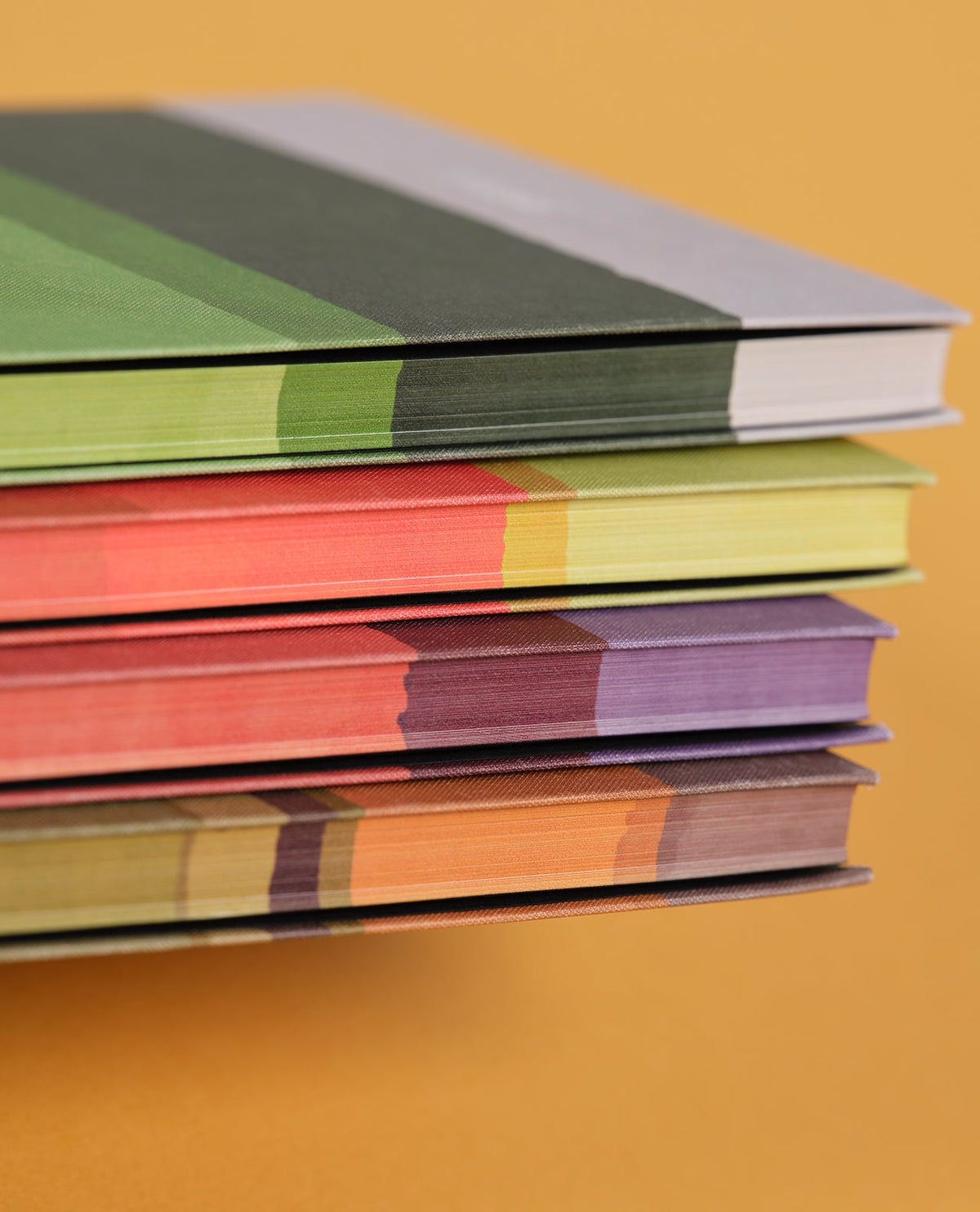 Carnet CASTELLI MILANO Stripes - 19 x 25 cm - Hardcover - Ligné - Jungle - 8056149954669