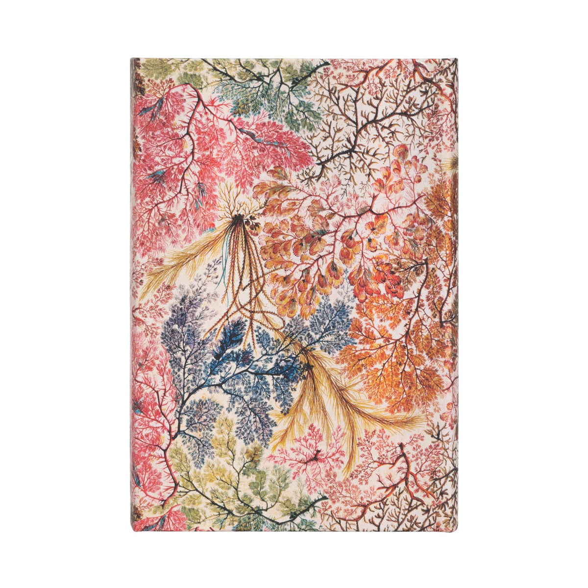 Carnet PAPERBLANKS Anémone - Mini - Hardcover - Ligné - 176p - 9781439772294