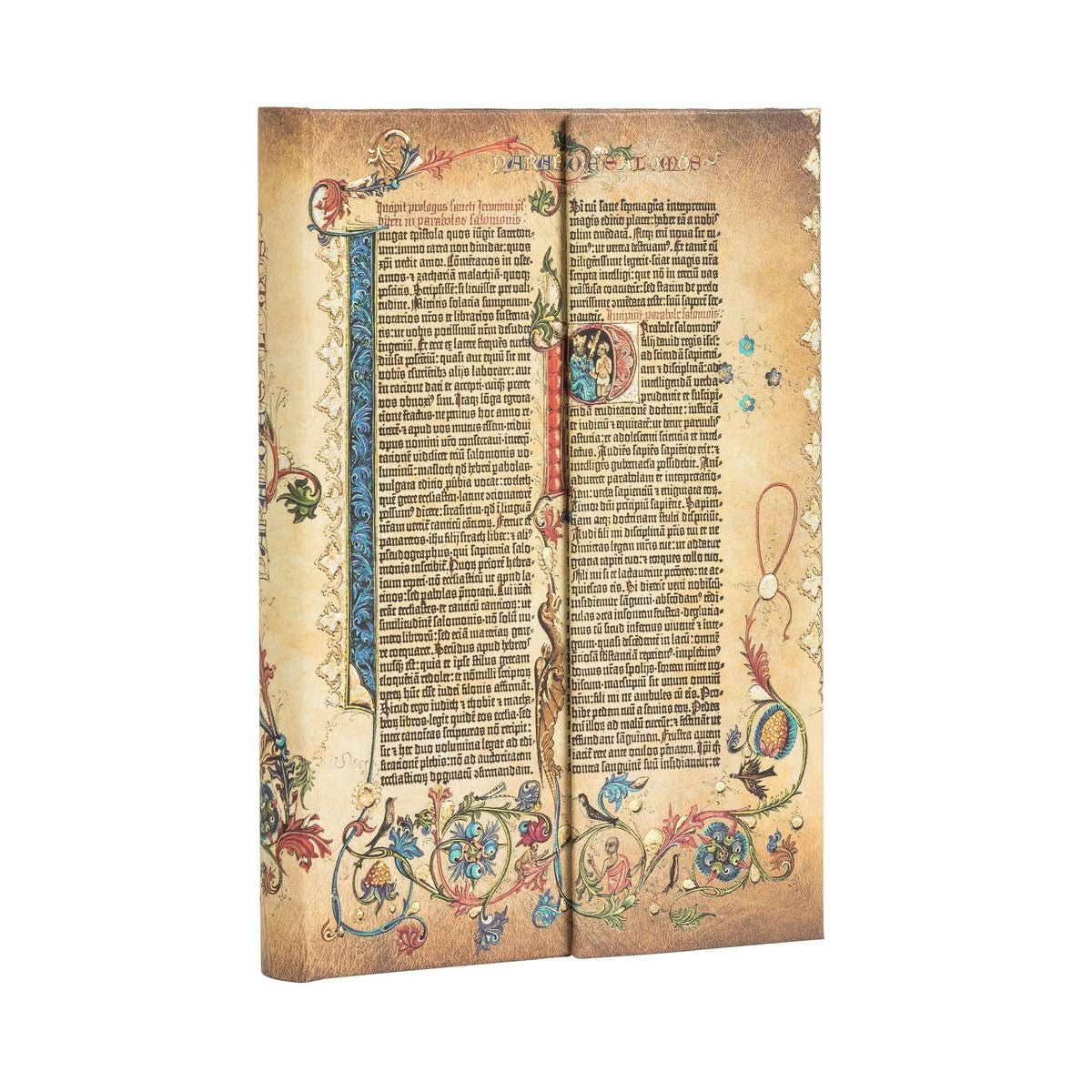 Carnet PAPERBLANKS Parabole - Mini - Hardcover - Ligné - 176p - 9781439750339