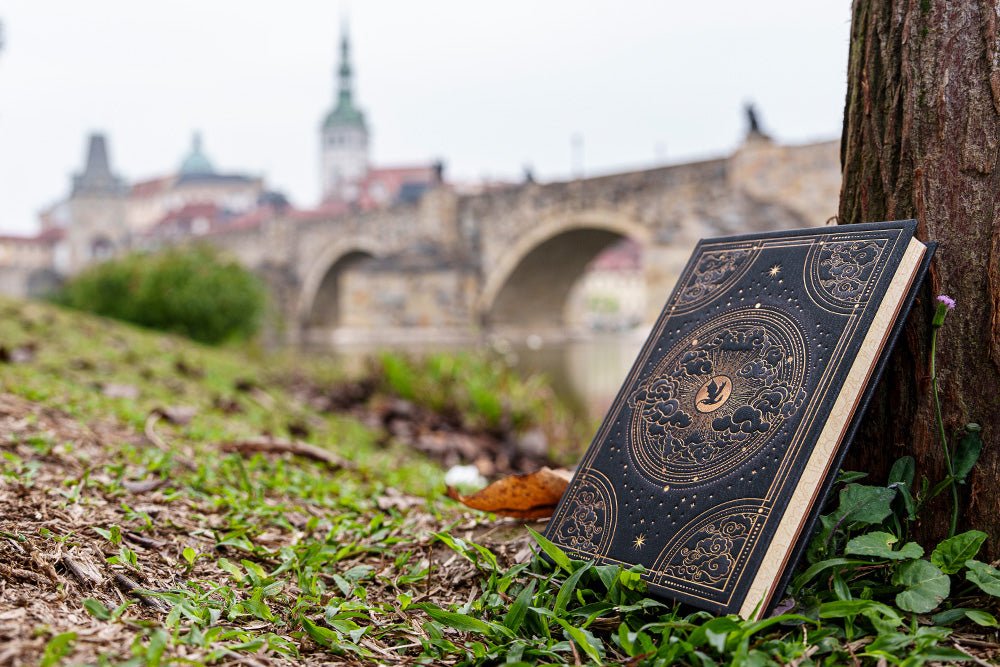 Carnet PAPERBLANKS Pénombre de Navarre - Ultra - Hardcover - Ligné - 144p - 9781439799864