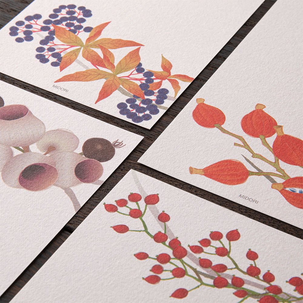 Papier à lettres MIDORI washi - 177 x 84 mm - Couronne d’Automne - 4902805895910