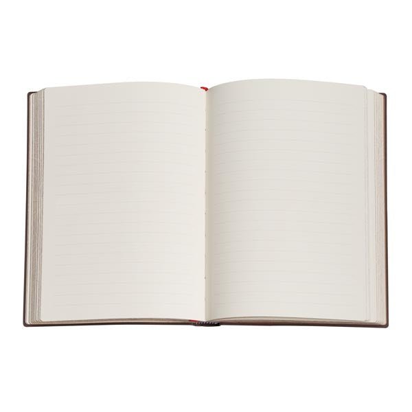 Safavide - Mini Rigide 176p - Ligné - Illustré - 9781439716038