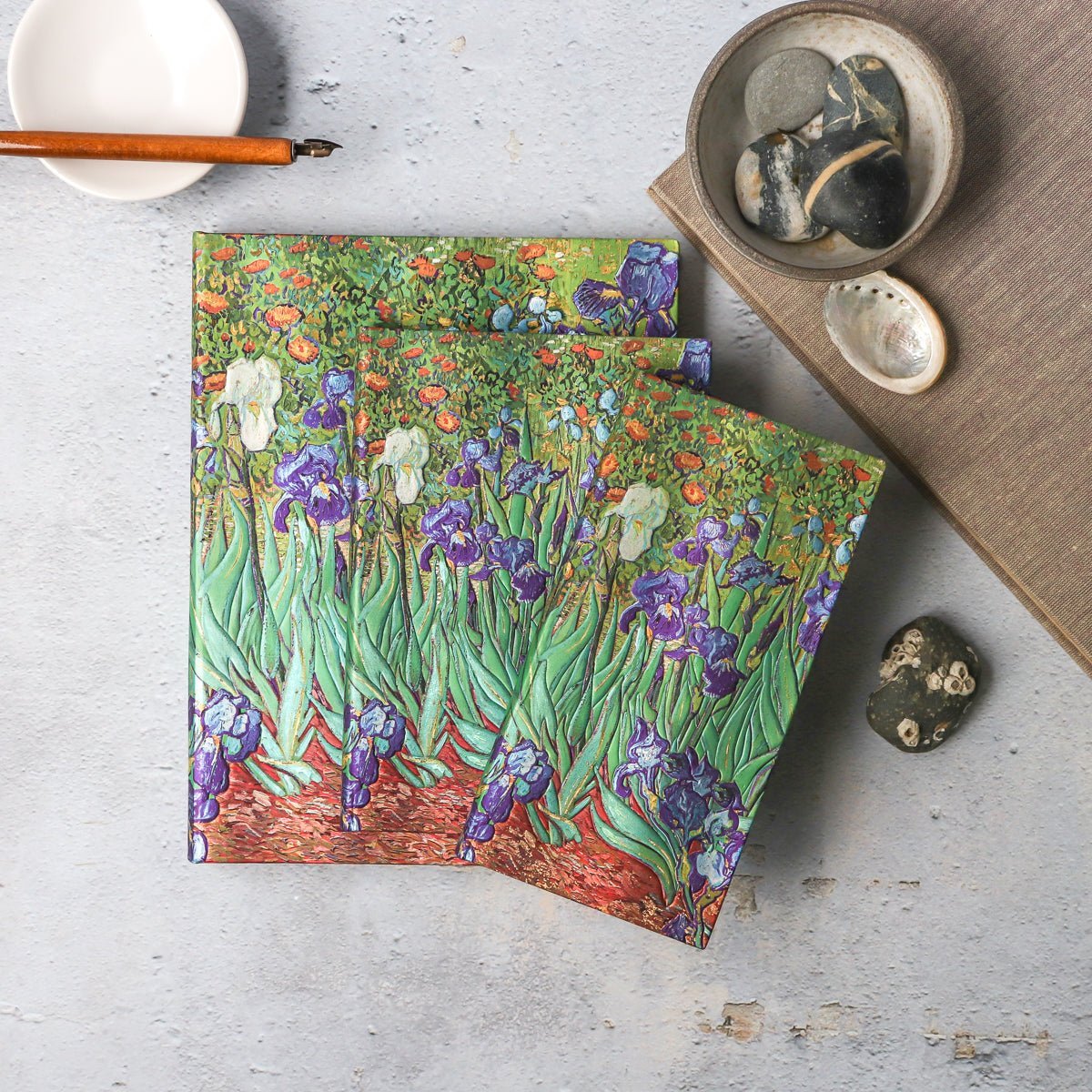 Répertoire PAPERBLANKS Iris de Van Gogh - Midi - Illustré - 9781439796191