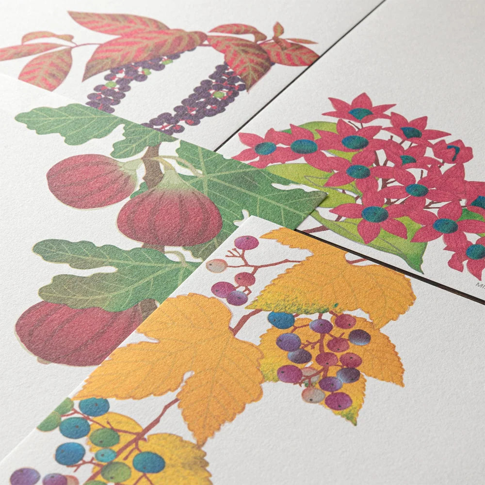 Papier à lettres MIDORI washi - 177 x 168 mm - Fruits d’automne
