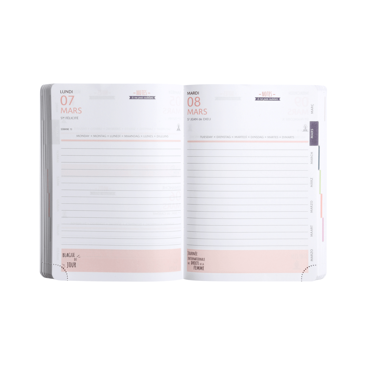 Agenda 2025 - 2026 EXACOMPTA Forum Color - 12 x 17 cm - 1 jour par page - Orientation horizontale - Soft Harmony rose - 3660942073462