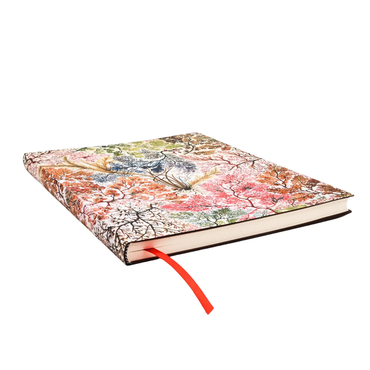 Carnet PAPERBLANKS Anémone - Ultra - Softcover - Ligné - 176p - 9781439799024