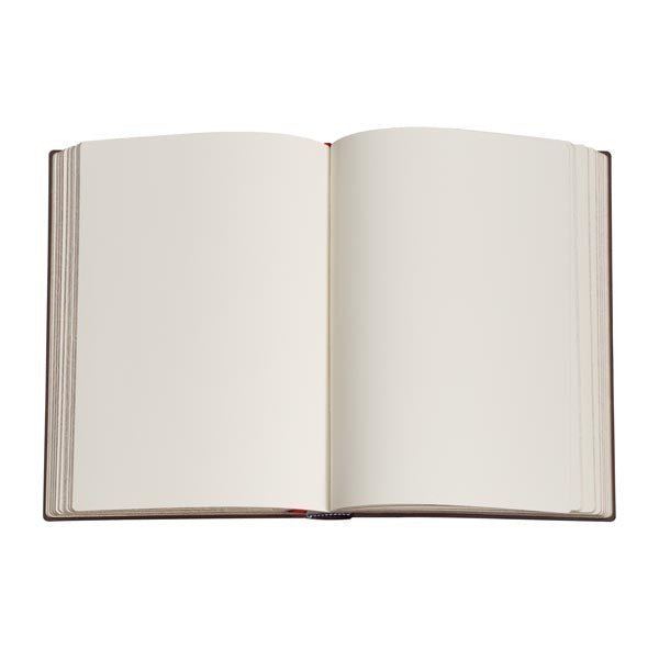 Carnet PAPERBLANKS Rivière aux Lotus - Midi - Softcover - Uni - 176p - 9780349715513