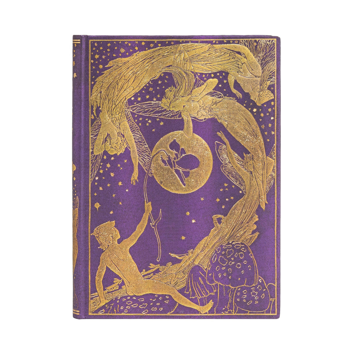 Fée Violette - Midi Rigide 144p - Ligné - Illustré - 9781439765128