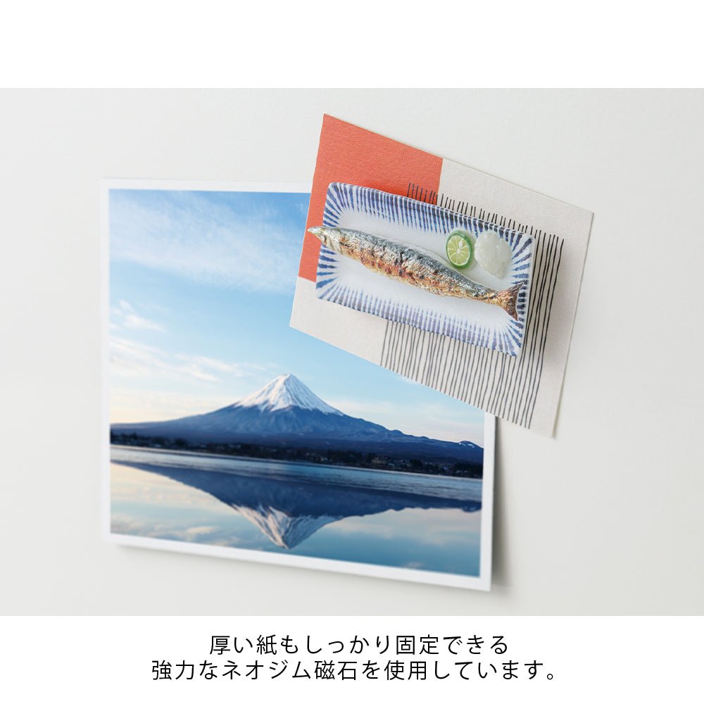 Magnet miniature MIDORI - Samma - 4902805434126
