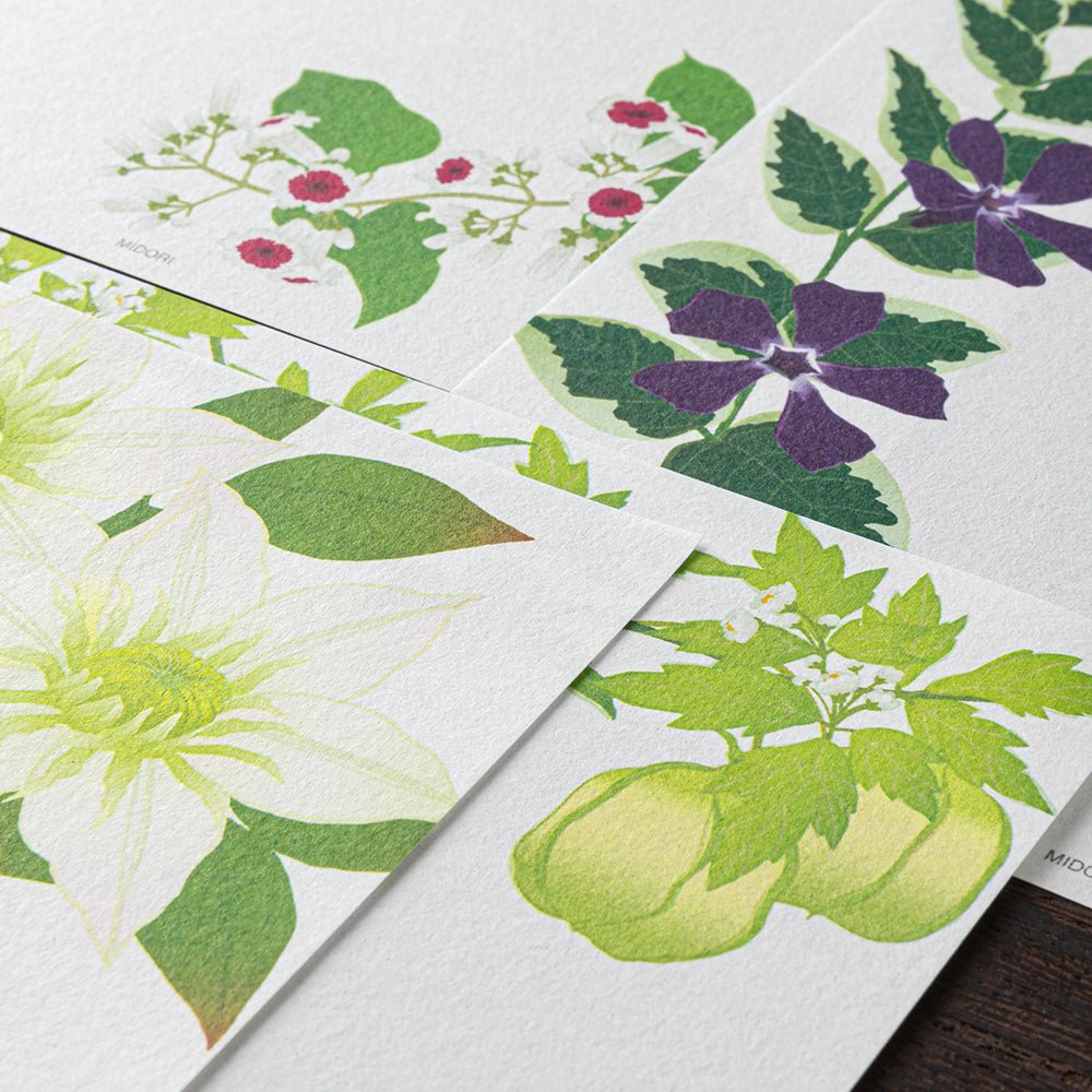 Papier à lettres MIDORI washi - 177 x 168 mm - Fleurs d'Été - 4902805871693