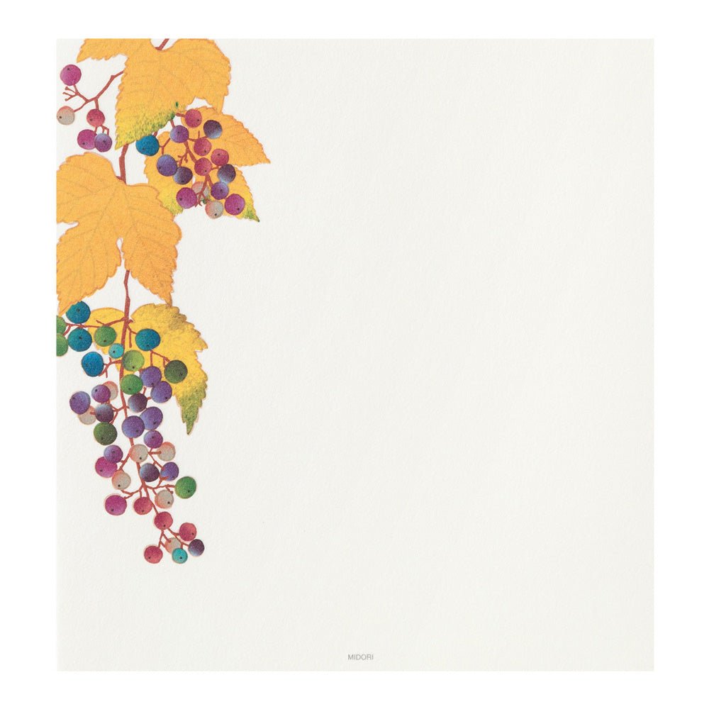 Papier à lettres MIDORI washi - 177 x 168 mm - Fruits d’automne - 4902805810333
