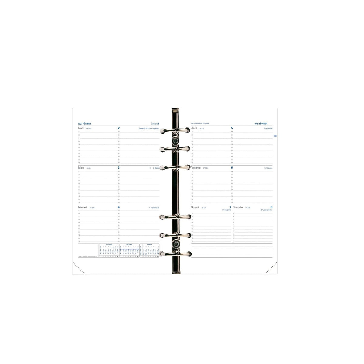 Recharge Organiseur 2024-2025 QUO VADIS Timer 21 Horizontal - 1 semaine sur 2 pages - 15 x 21 cm - 3371010119097