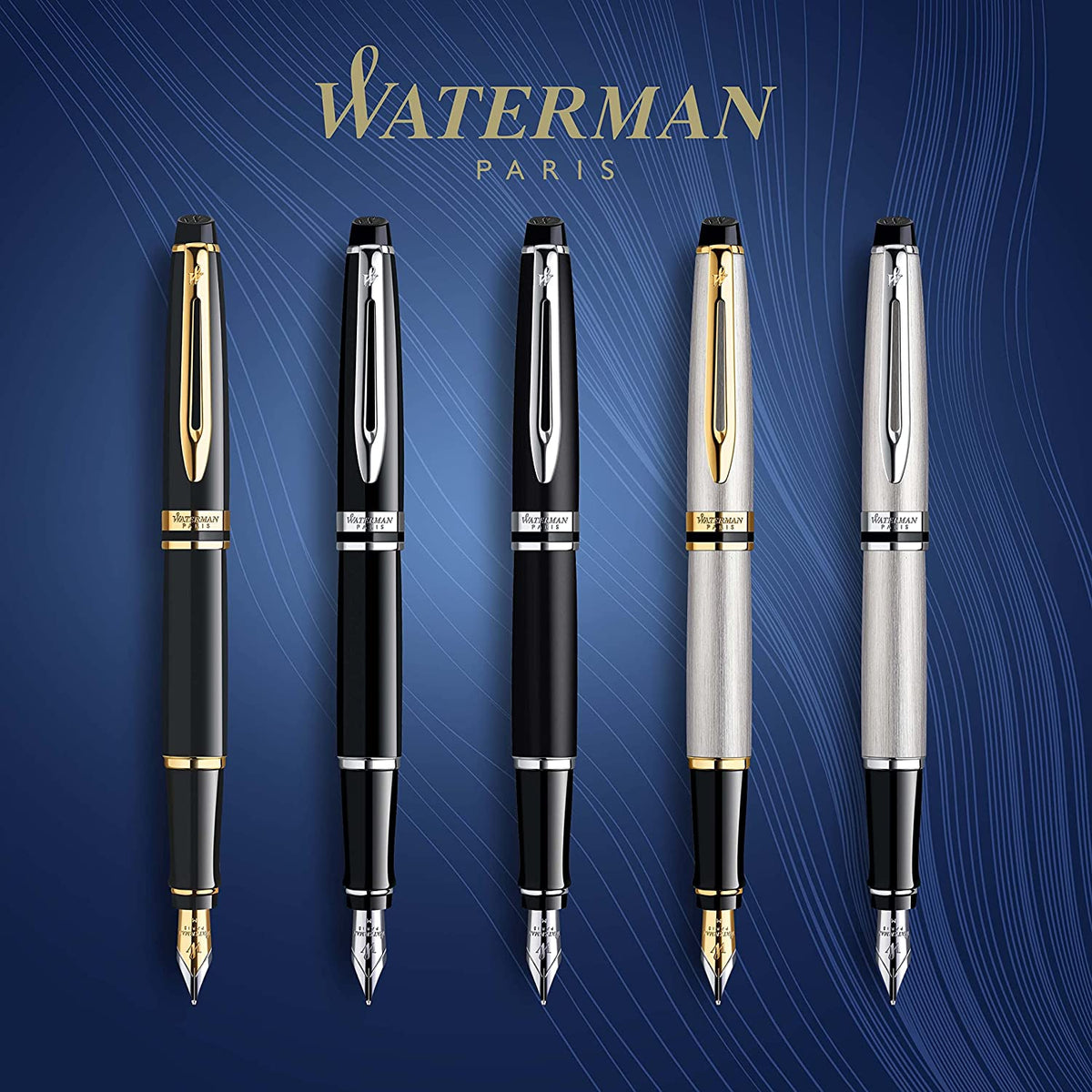 Stylo plume WATERMAN Expert - Acier Métallisé GT - Fine (F) - 3501170951941